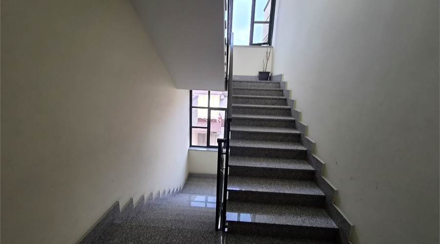 Photo 35